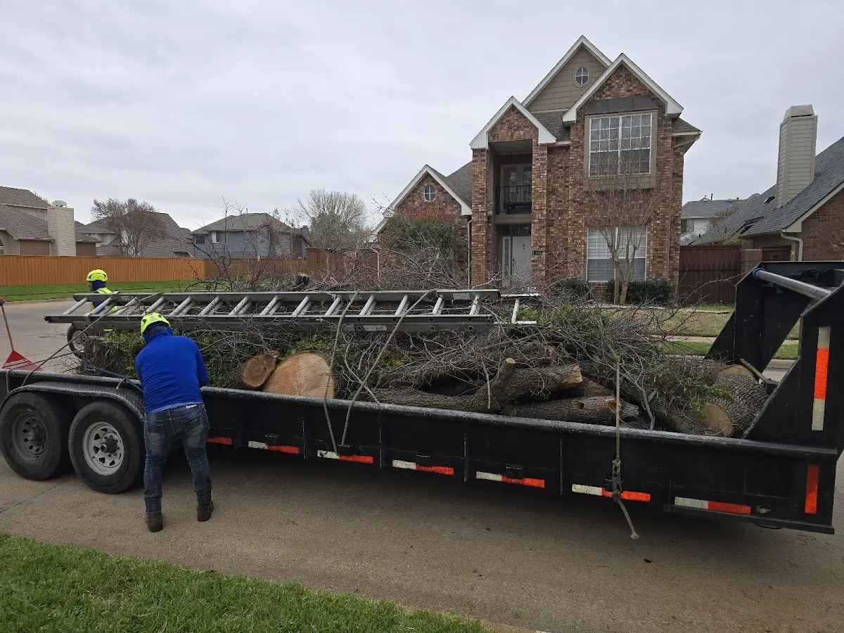 Expert Lot Clearing with proper safety equipment in Lakin